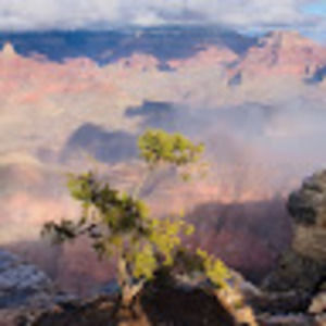 Meet your Posher, Kaitlyn